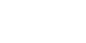 partner_eagle_ai