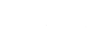 partner_nvidia